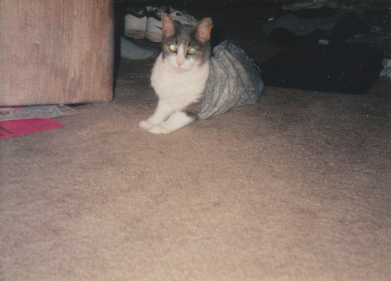 photo1.jpg
