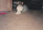 photo1_small.jpg