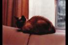 p_0003_small.jpg