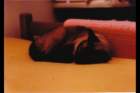 p_0009_small.jpg