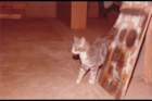 p_0013_small.jpg