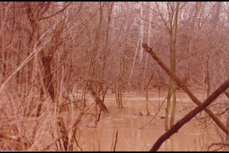 p_0016.jpg