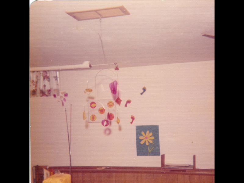 p_0010.jpg