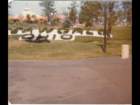 p_0044_small.jpg