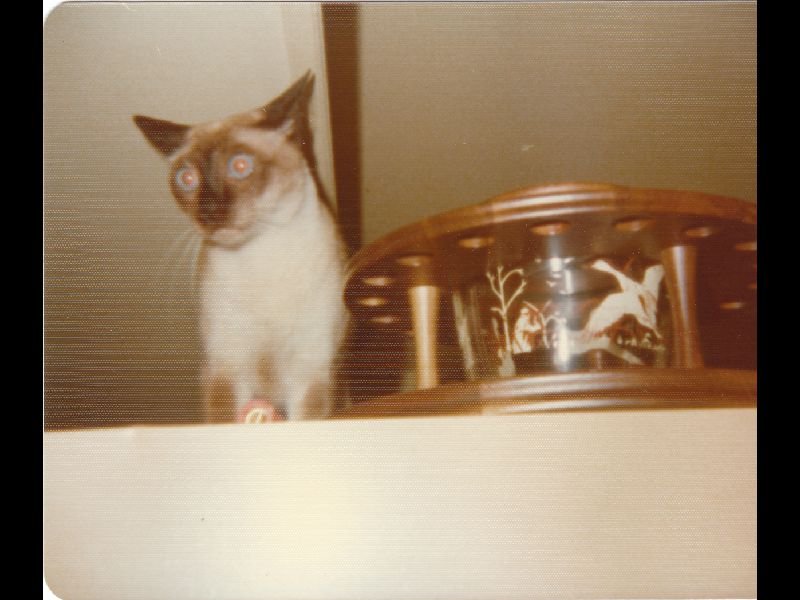 p_0056.jpg