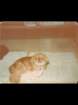 p_0059_small.jpg