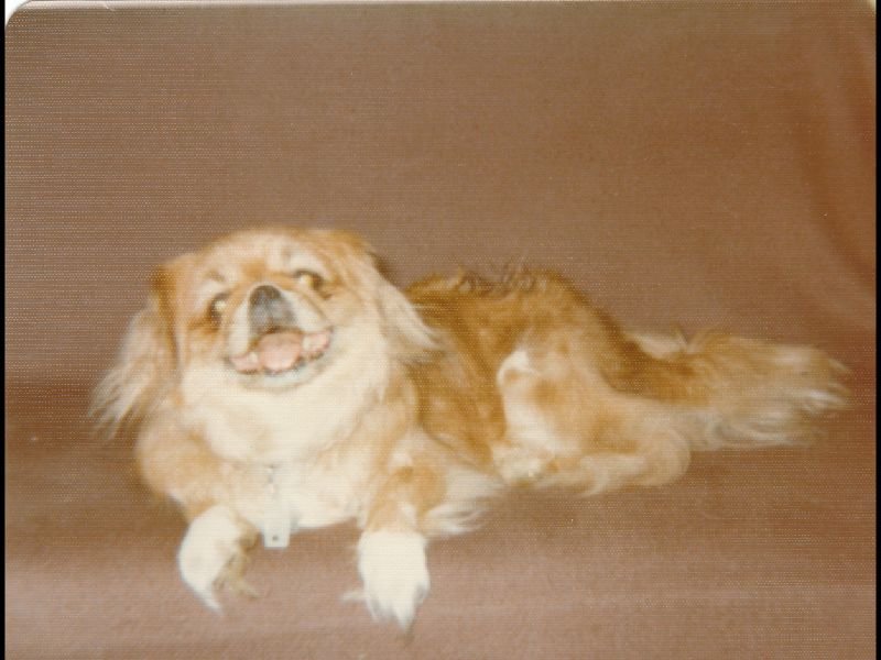 p_0063.jpg
