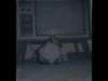 p_0008_small.jpg