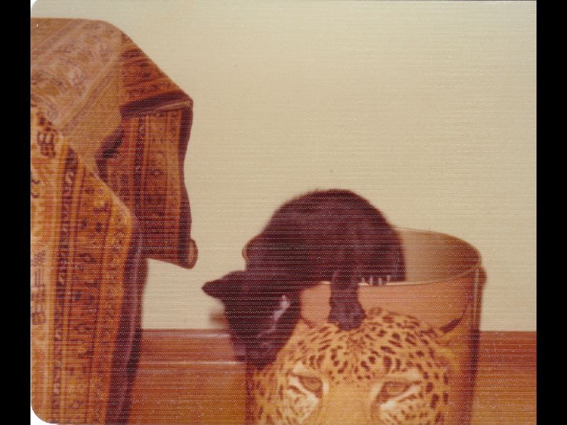 p_0078.jpg