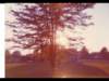 p_0081_small.jpg