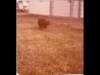 p_0088_small.jpg
