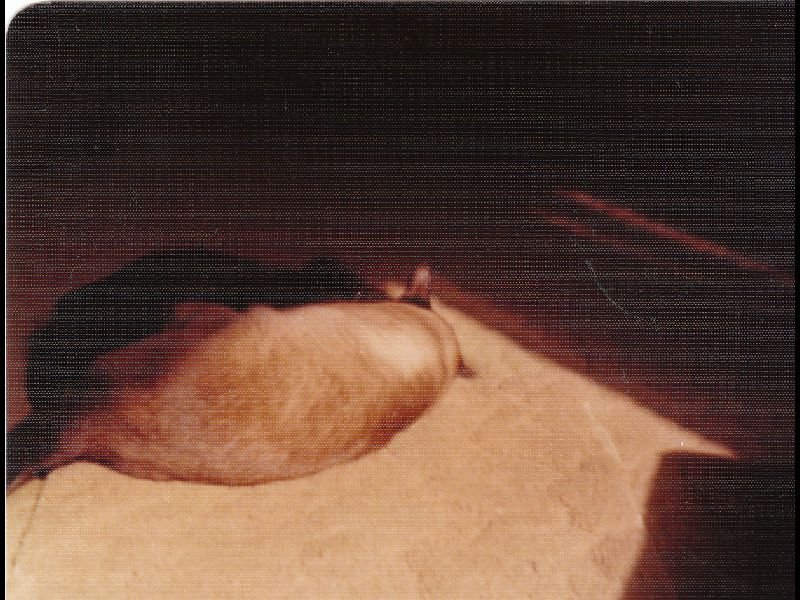 p_0101.jpg