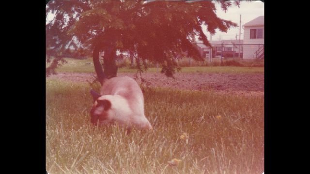 p_0013.jpg