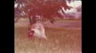 p_0013_small.jpg