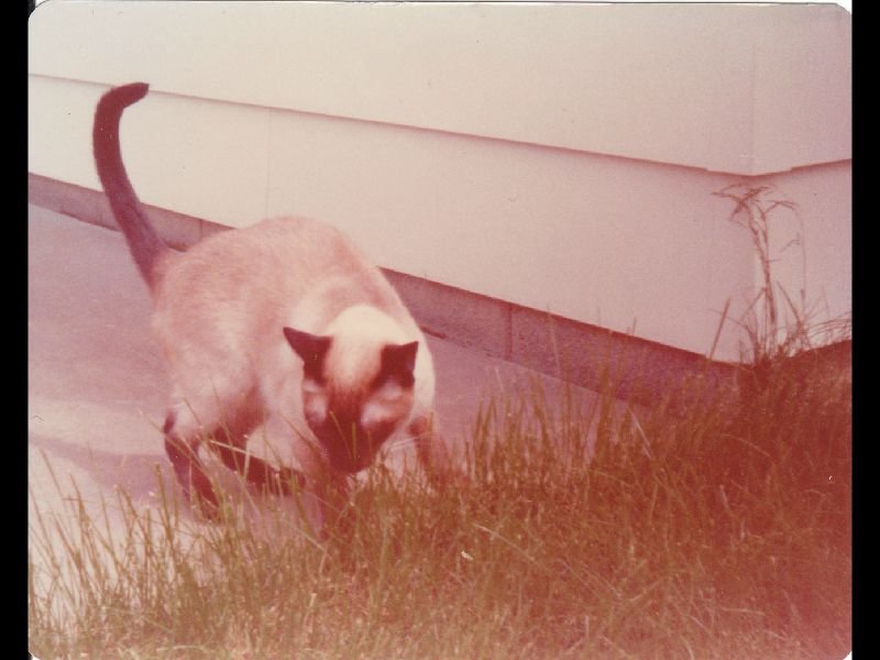 p_0013.jpg