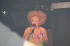 dscf0219_small.jpg