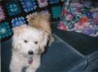 img_00035_small.jpg