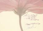 img_00053_small.jpg