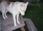 img_00064_small.jpg