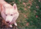 img_00073_small.jpg