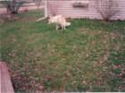img_00084_small.jpg