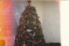 img_00262_small.jpg