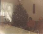 img_00272_small.jpg