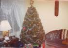img_00282_small.jpg