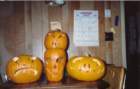 img_00292_small.jpg