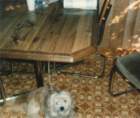 img_0134_small.jpg