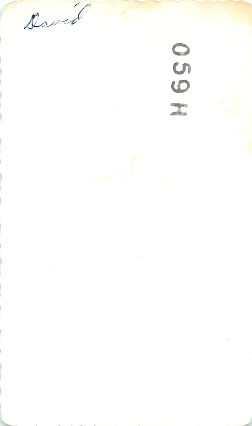 786x1339 pixels (25K)