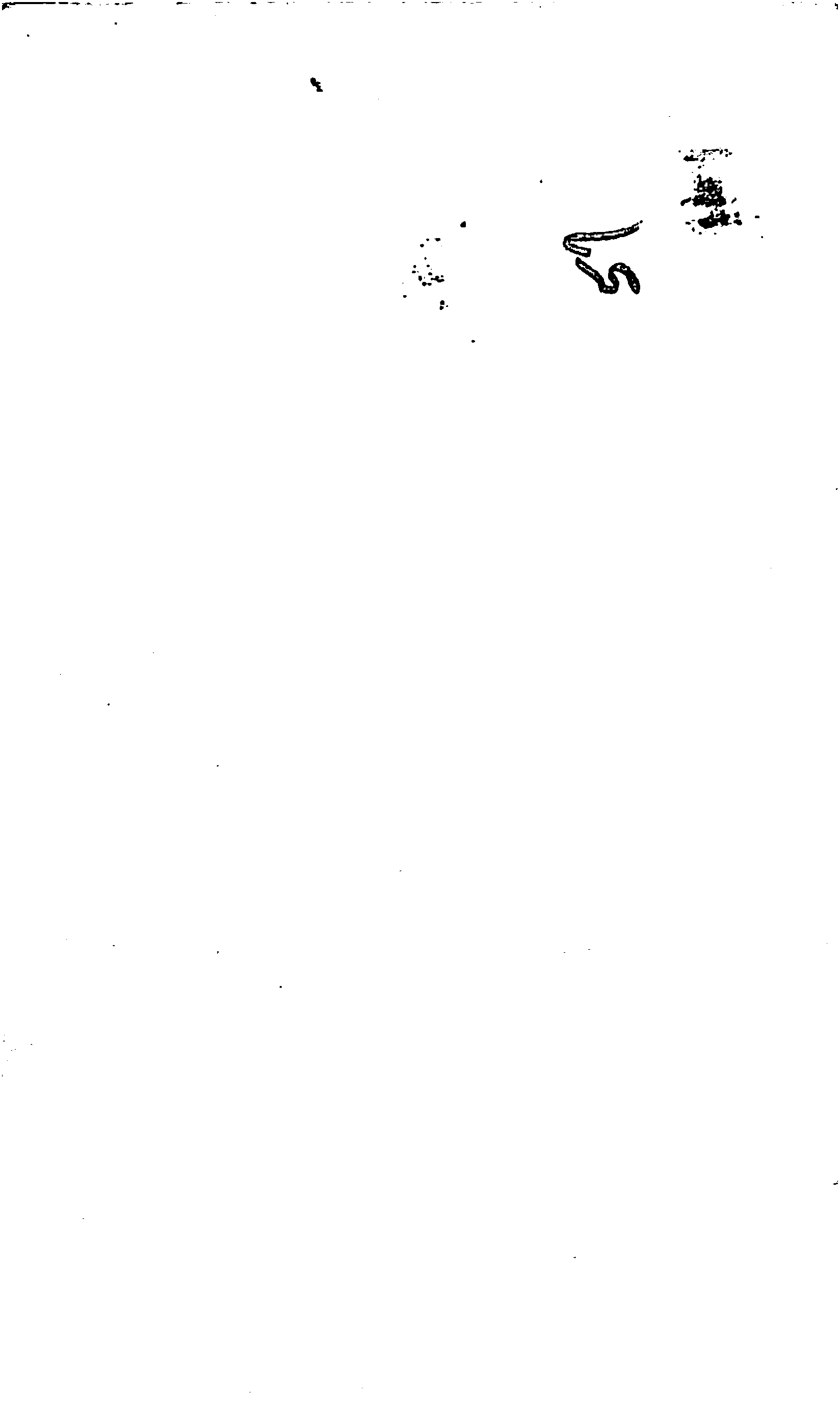 1626x2733 pixels (120K)