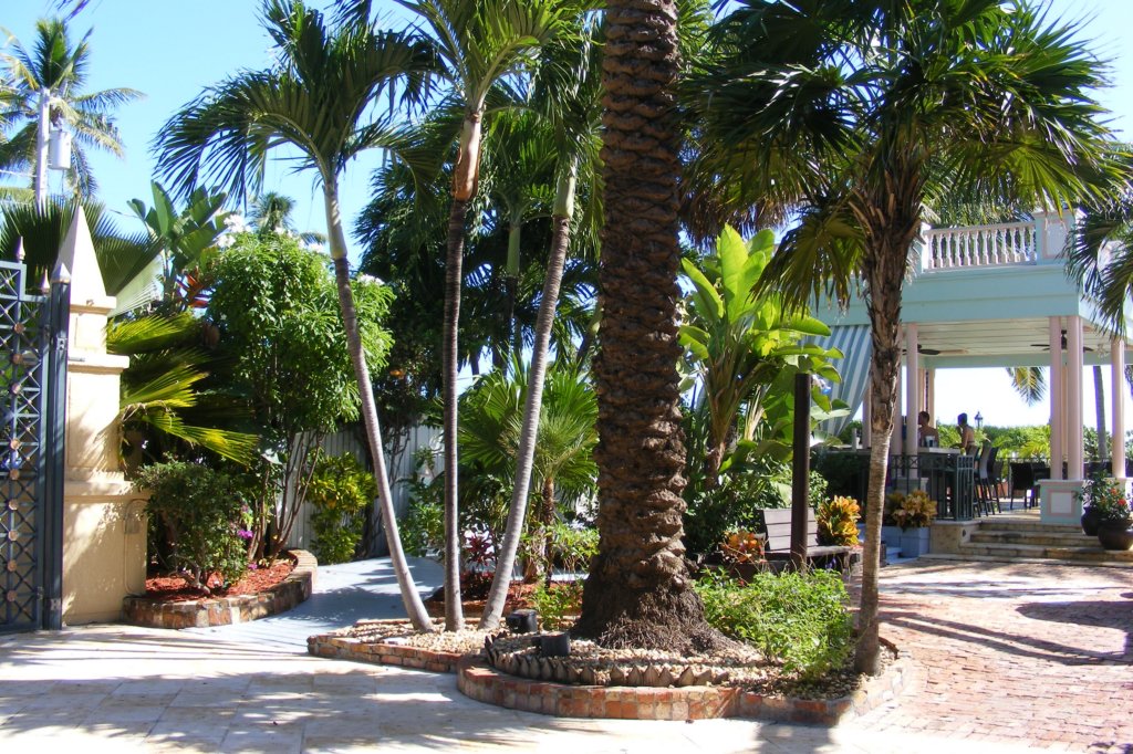 dscf0187.jpg