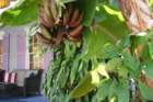 dscf0207_small.jpg