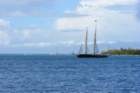 dscf0457_small.jpg