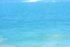 dscf0473_small.jpg