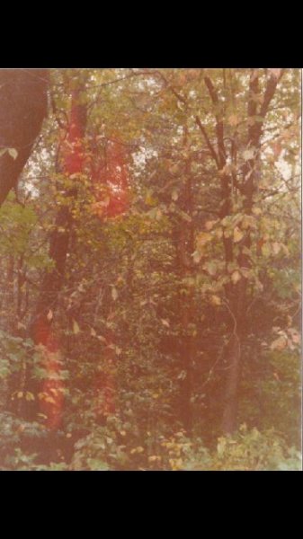 p_0048.jpg