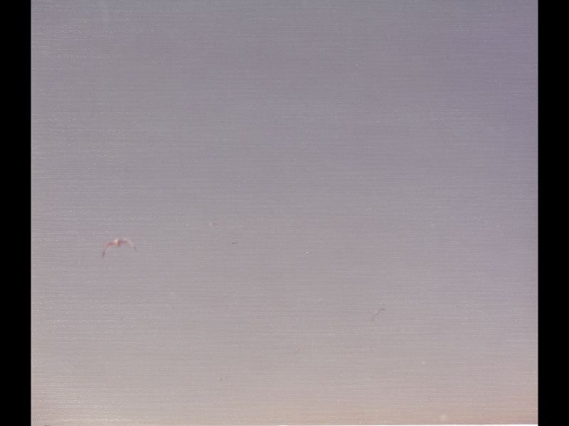 p_0001.jpg