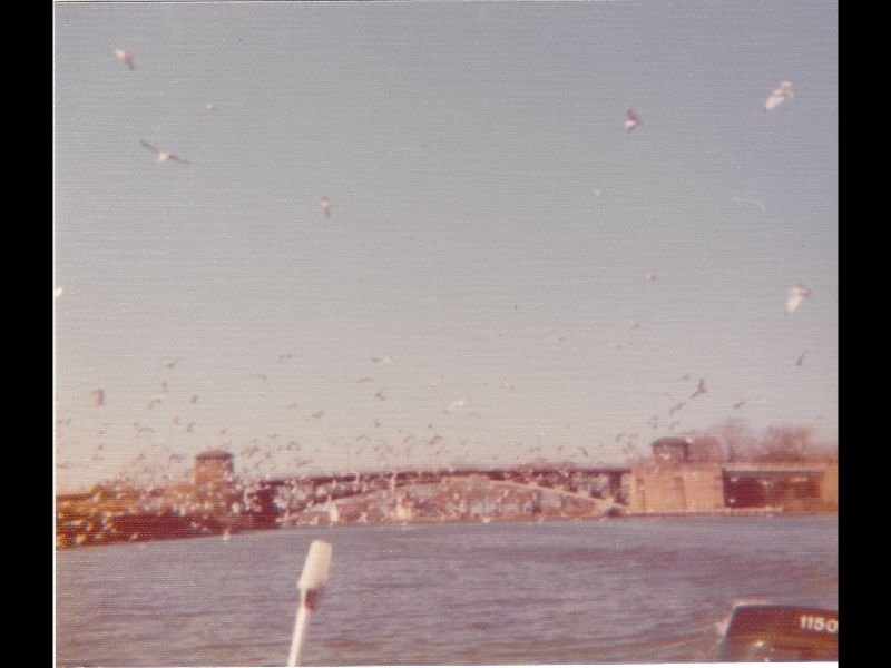 p_0002.jpg