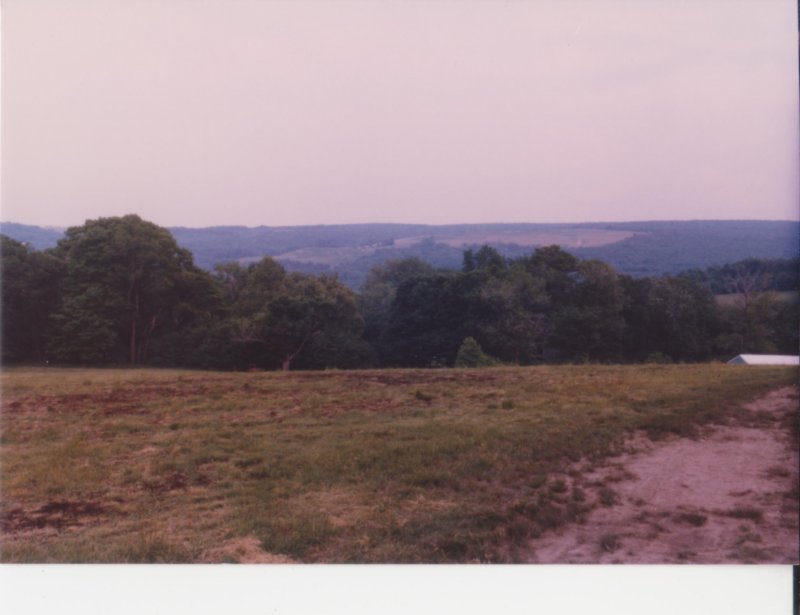 photo1.jpg