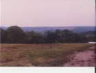 photo1_small.jpg