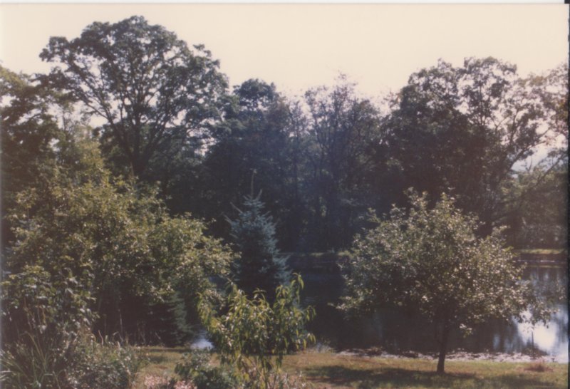 photo7.jpg