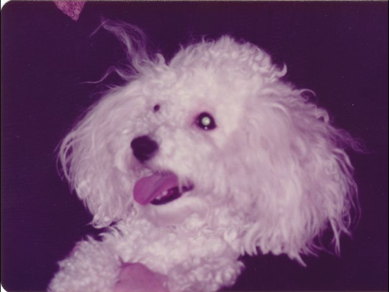 p_0003.jpg