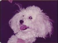 p_0003_small.jpg