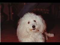 p_0010_small.jpg