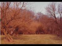 p_0010_small.jpg