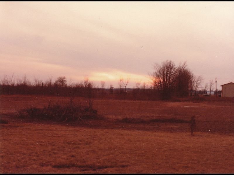 p_0011.jpg