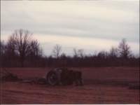 p_0013_small.jpg