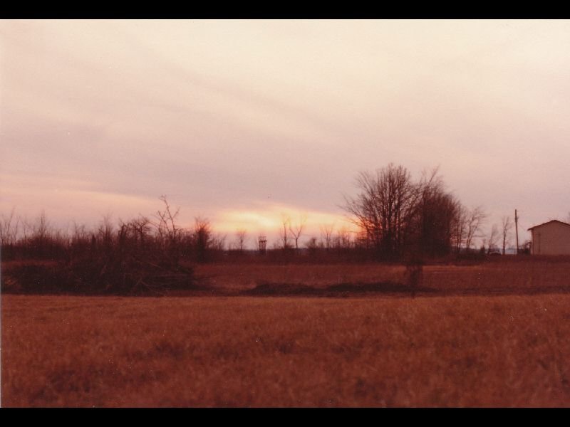 p_0015.jpg