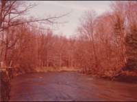 p_0018_small.jpg